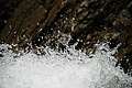 DSC09338 - Bernhard Saalfeld