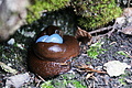 DSC09344 - Bernhard Saalfeld