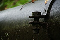 DSC09350 - Bernhard Saalfeld