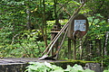 DSC09353 - Bernhard Saalfeld