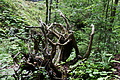 DSC09361 - Bernhard Saalfeld
