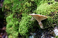 DSC09363 - Bernhard Saalfeld