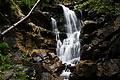 DSC09373 - Bernhard Saalfeld