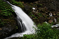 DSC09374 - Bernhard Saalfeld