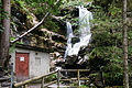 DSC09376 - Bernhard Saalfeld