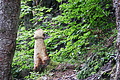 DSC09379 - Bernhard Saalfeld
