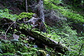 DSC09384 - Bernhard Saalfeld