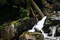 DSC09387 - Bernhard Saalfeld