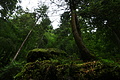 DSC09393 - Bernhard Saalfeld