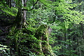 DSC09394 - Bernhard Saalfeld
