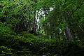 DSC09395 - Bernhard Saalfeld