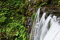 DSC09401 - Bernhard Saalfeld