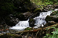 DSC09407 - Bernhard Saalfeld