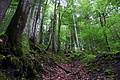 DSC09411 - Bernhard Saalfeld