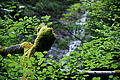 DSC09413 - Bernhard Saalfeld