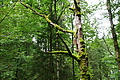 DSC09417 - Bernhard Saalfeld