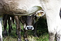 DSC09450 - Bernhard Saalfeld