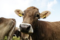 DSC09451 - Bernhard Saalfeld