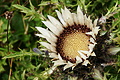 DSC09464 - Bernhard Saalfeld