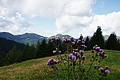 DSC09468 - Bernhard Saalfeld