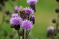 DSC09471 - Bernhard Saalfeld