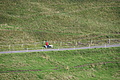 DSC09475 - Bernhard Saalfeld