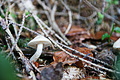DSC09479 - Bernhard Saalfeld
