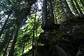 DSC09483 - Bernhard Saalfeld