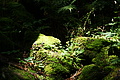 DSC09484 - Bernhard Saalfeld