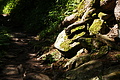 DSC09485 - Bernhard Saalfeld