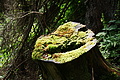 DSC09486 - Bernhard Saalfeld