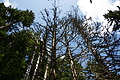 DSC09487 - Bernhard Saalfeld