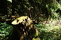 DSC09488 - Bernhard Saalfeld