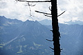 DSC09491 - Bernhard Saalfeld