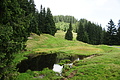 DSC09497 - Bernhard Saalfeld