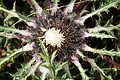 DSC09504 - Bernhard Saalfeld