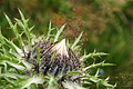 DSC09505 - Bernhard Saalfeld