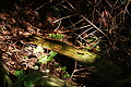 DSC09509 - Bernhard Saalfeld