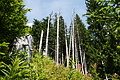 DSC09510 - Bernhard Saalfeld