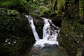 DSC09594 - Bernhard Saalfeld
