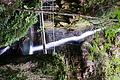 DSC09608 - Bernhard Saalfeld