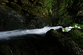 DSC09624 - Bernhard Saalfeld