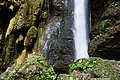 DSC09627 - Bernhard Saalfeld
