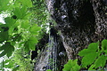 DSC09633 - Bernhard Saalfeld