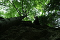 DSC09634 - Bernhard Saalfeld