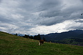 DSC09643 - Bernhard Saalfeld