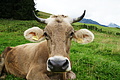 DSC09646 - Bernhard Saalfeld