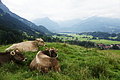 DSC09652 - Bernhard Saalfeld