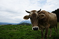 DSC09667 - Bernhard Saalfeld