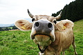 DSC09668 - Bernhard Saalfeld